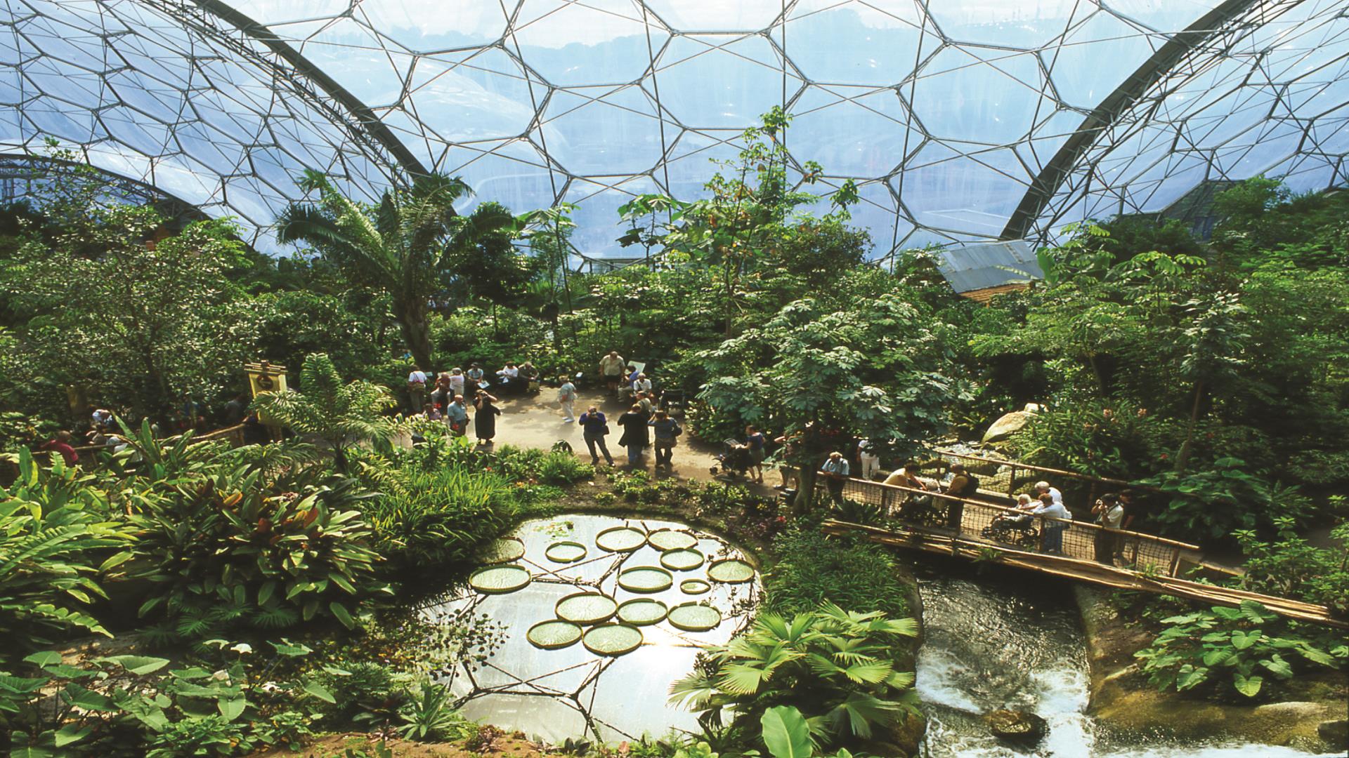 The Eden Project